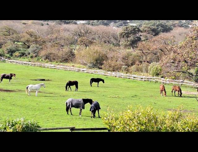 3 BEDROOM PROPERTY TO RENT IN CHAPMANS PEAK